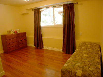 Lower level fireplace